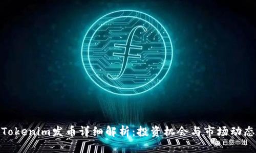 Tokenim发币详细解析：投资机会与市场动态