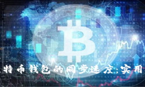如何加速比特币钱包的同步速度：实用技巧与建议