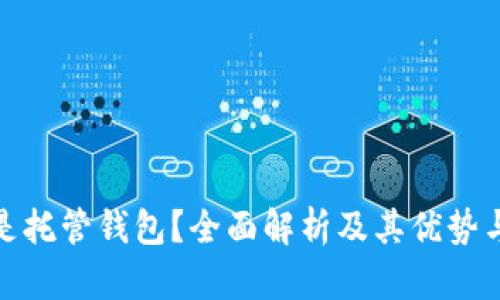 什么是托管钱包？全面解析及其优势与劣势