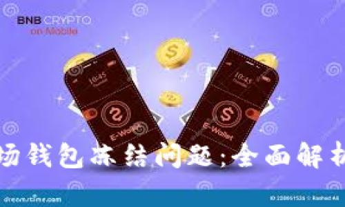 如何解决波场钱包冻结问题：全面解析与解决方案