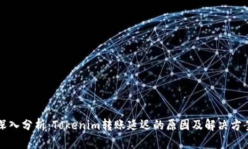 深入分析：Tokenim转账延迟的原因及解决方案