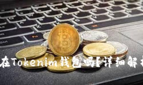 USDT可以放在Tokenim钱包吗？详细解析及使用指南