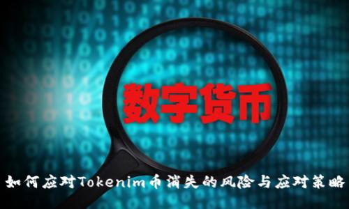 如何应对Tokenim币消失的风险与应对策略