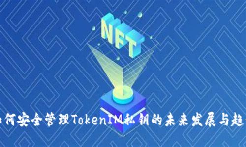 如何安全管理TokenIM私钥的未来发展与趋势