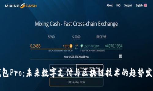 钱包Pro：未来数字支付与区块链技术的趋势发展