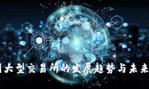 币圈大型交易所的发展趋势与未来展望