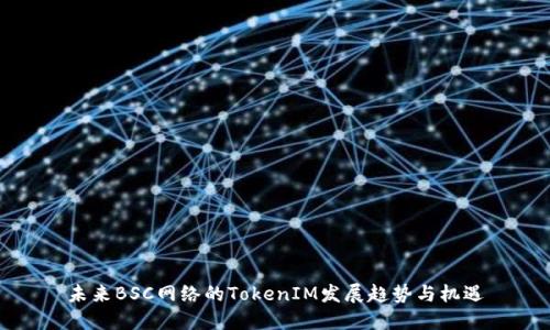 未来BSC网络的TokenIM发展趋势与机遇