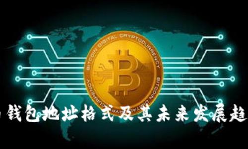 比特币钱包地址格式及其未来发展趋势分析