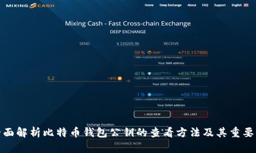 全面解析比特币钱包公钥的查看方法及其重要性