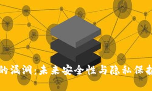揭示钱包的漏洞：未来安全性与隐私保护趋势分析
