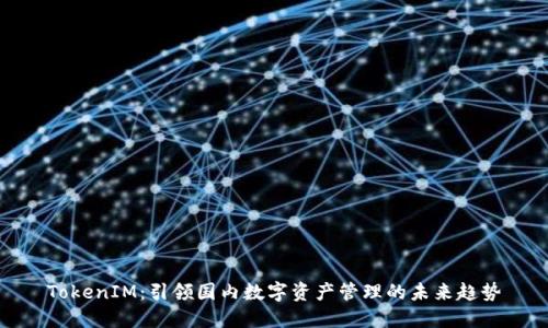 TokenIM：引领国内数字资产管理的未来趋势