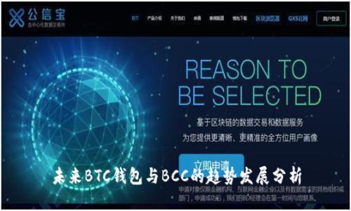 未来BTC钱包与BCC的趋势发展分析