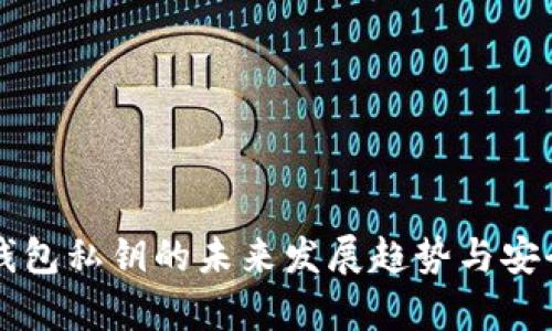 比特购钱包私钥的未来发展趋势与安全性分析