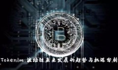Tokenim：波场链未来发展的趋势与机遇分析