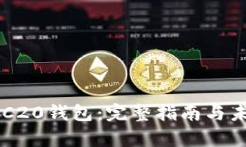 如何注册ERC20钱包：完整指南与未来趋势分析
