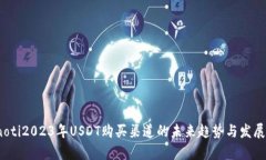 bianoti2023年USDT购买渠道的未来趋势与发展分析