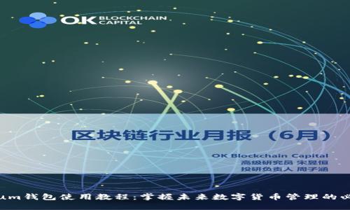 Electrum钱包使用教程：掌握未来数字货币管理的必备工具