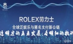 以太坊钱包透明度的未来发展：看明细的挑战与