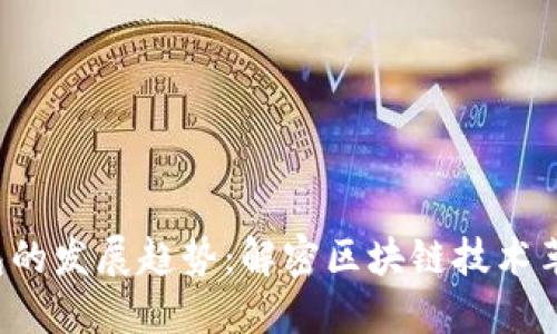 未来BTS DPOS钱包的发展趋势：解密区块链技术革新与用户体验提升