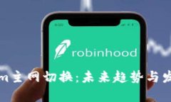 Tokenim主网切换：未来趋势与发展分析