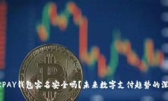 下载OKPAY钱包实名安全吗？未来数字支付趋势的深
