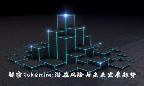 解密Tokenim：潜在风险与未来发展趋势