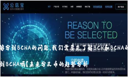 关于在钱包里的BCH是否能够分到BCHA的问题，我们需要先了解BCH和BCHA的背景，以及它们之间的关系。

### 在钱包里的BCH能分到BCHA吗？未来分叉币的趋势分析