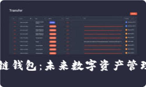 多链钱包与单链钱包：未来数字资产管理的趋势与发展