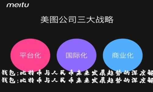 快钱包：比特币与人民币未来发展趋势的深度解析
快钱包：比特币与人民币未来发展趋势的深度解析
