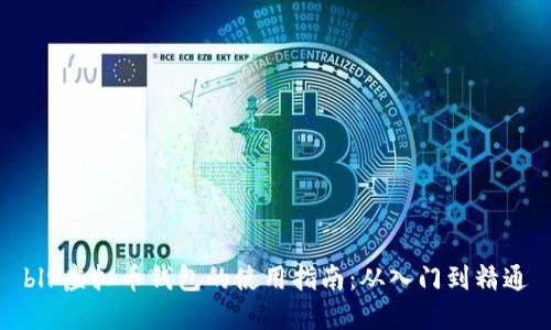 blr虚拟币钱包的使用指南：从入门到精通