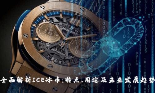全面解析ICE冰币：特点、用途及未来发展趋势