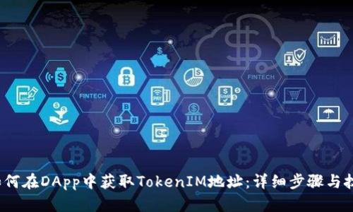 如何在DApp中获取TokenIM地址：详细步骤与技巧