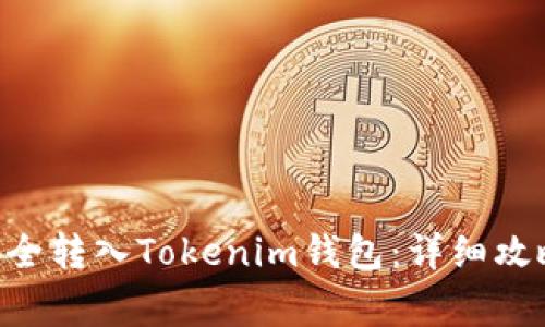 : CMT如何安全转入Tokenim钱包：详细攻略与注意事项