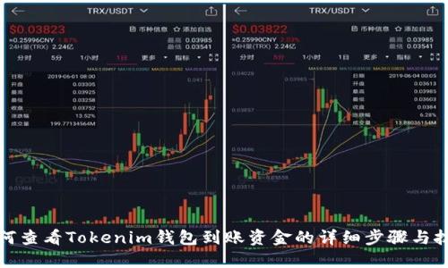 如何查看Tokenim钱包到账资金的详细步骤与技巧