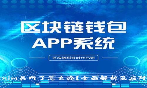 Tokenim关网了怎么办？全面解析及应对策略