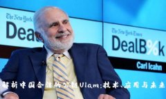深入解析中国合法的公链Ulam：技术、应用与未来