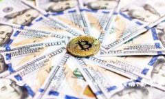   如何在Tokenim钱包中查看区块链哈希值？ /  gua