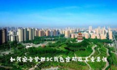 如何安全管理SC钱包密码及其重要性