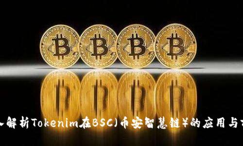 深入解析Tokenim在BSC（币安智慧链）的应用与前景