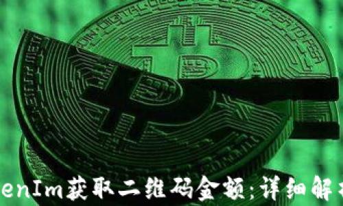 
如何通过TokenIm获取二维码金额：详细解析与实用指南
