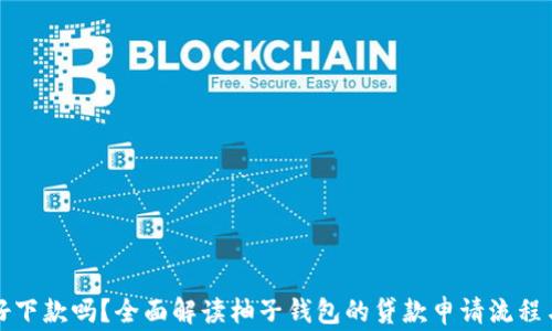 
柚子钱包好下款吗？全面解读柚子钱包的贷款申请流程与注意事项