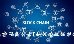 Tokenim交易密码是什么？如何有效保护你的数字资