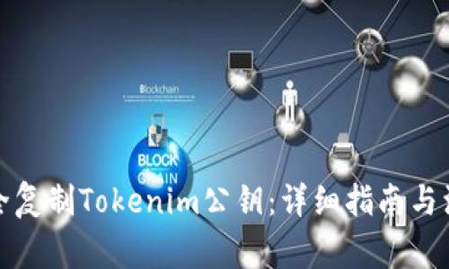 如何安全复制Tokenim公钥：详细指南与注意事项