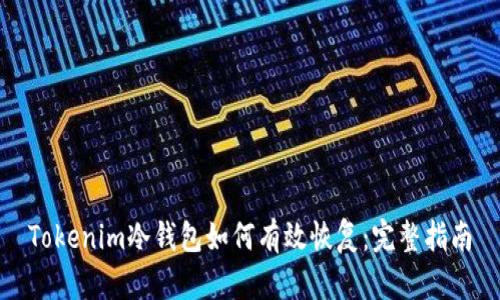 Tokenim冷钱包如何有效恢复：完整指南