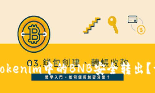 如何将Tokenim中的BNB安全转出？详细指南
