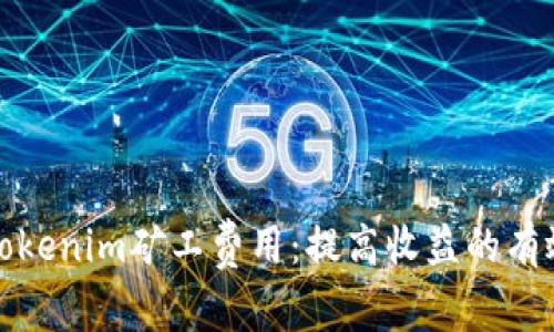 如何Tokenim矿工费用：提高收益的有效策略