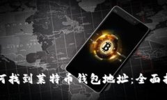 如何找到莱特币钱包地址：全面指南