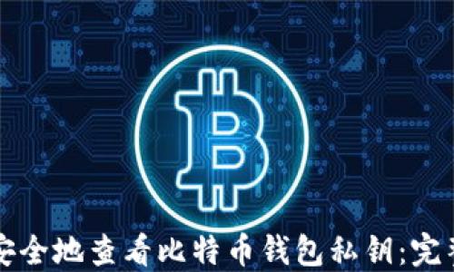 
如何安全地查看比特币钱包私钥：完整指南