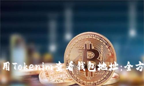 如何使用Tokenim查看钱包地址：全方位指南