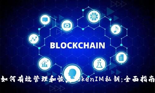 如何有效管理和恢复TokenIM私钥：全面指南